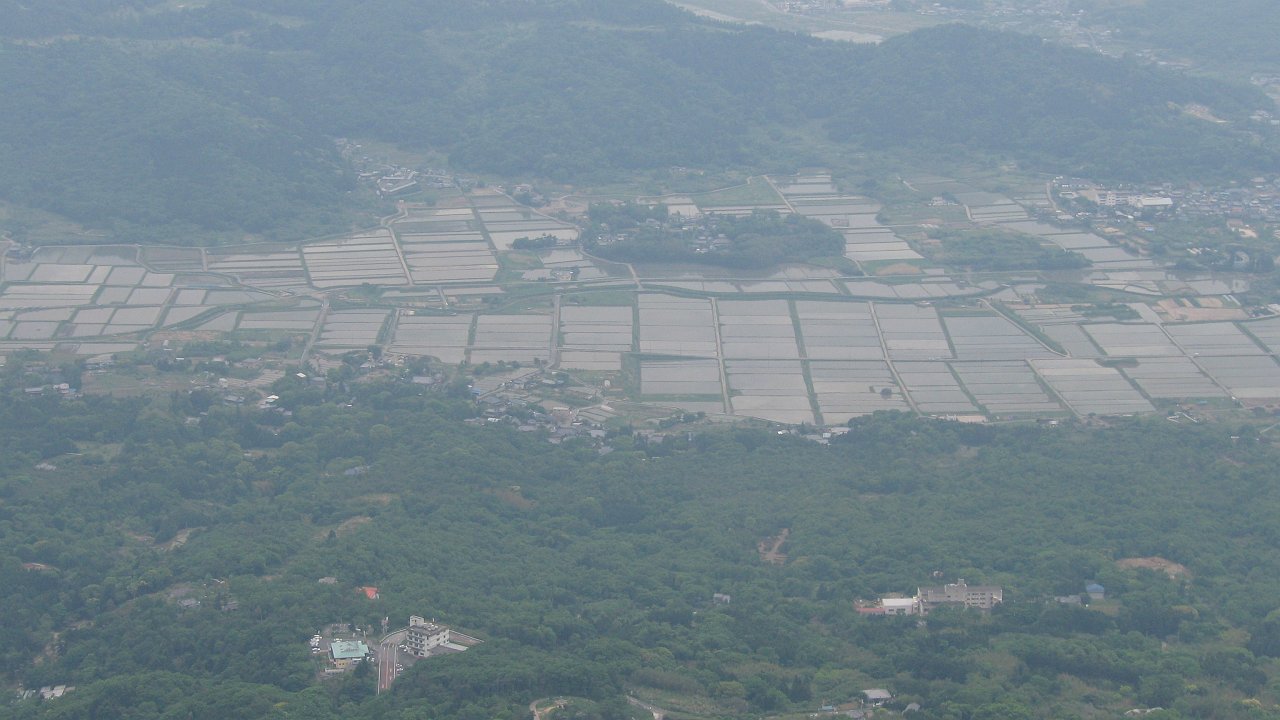 lots of rice fields.jpg